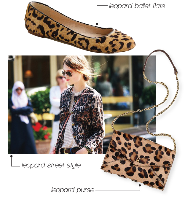 leopard print style, joss and main, home decor, reidmore blog, morgan reid, dc blog